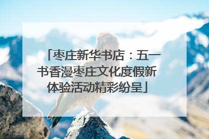 枣庄新华书店：五一书香漫枣庄文化度假新体验活动精彩纷呈