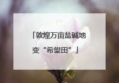 敦煌万亩盐碱地变“希望田”