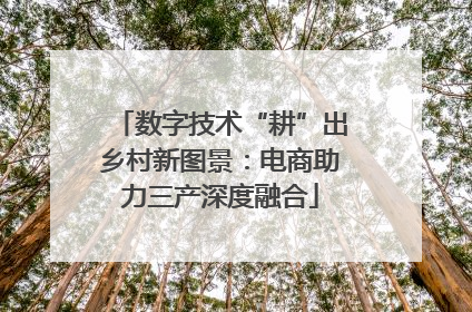 数字技术“耕”出乡村新图景：电商助力三产深度融合