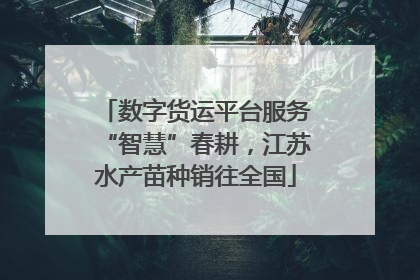 数字货运平台服务“智慧”春耕，江苏水产苗种销往全国