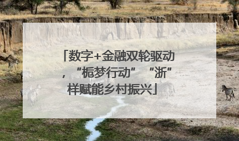 数字+金融双轮驱动，“栀梦行动”“浙”样赋能乡村振兴