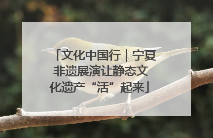 文化中国行｜宁夏 非遗展演让静态文化遗产“活”起来