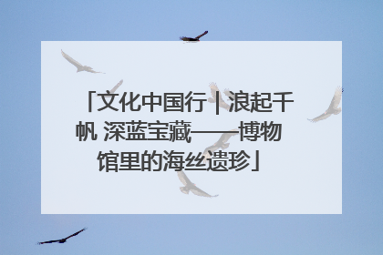 文化中国行｜浪起千帆 深蓝宝藏——博物馆里的海丝遗珍