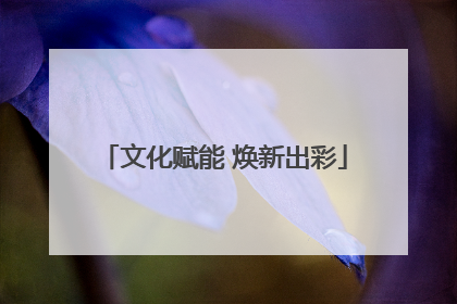 文化赋能 焕新出彩