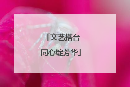 文艺搭台 同心绽芳华