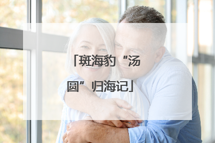 斑海豹“汤圆”归海记