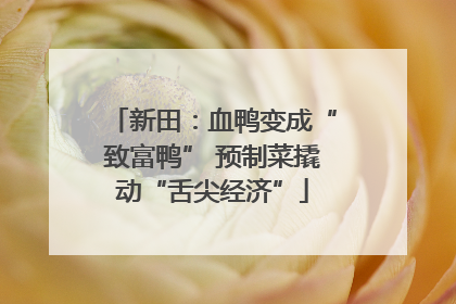 新田：血鸭变成“致富鸭” 预制菜撬动“舌尖经济”
