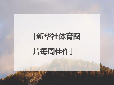 新华社体育图片每周佳作