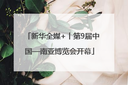 新华全媒+丨第9届中国—南亚博览会开幕