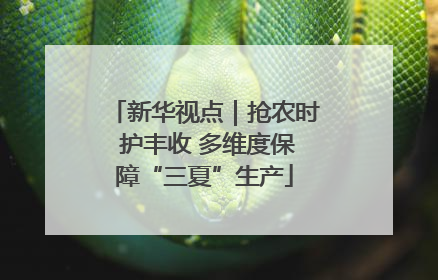新华视点｜抢农时 护丰收 多维度保障“三夏”生产