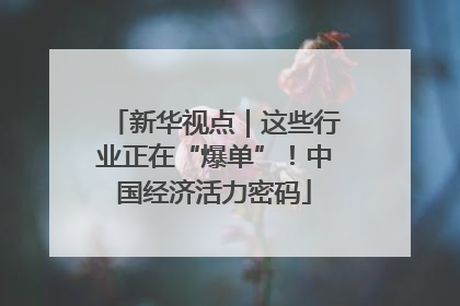 新华视点｜这些行业正在“爆单”！中国经济活力密码