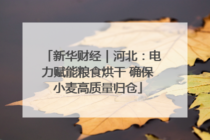 新华财经｜河北：电力赋能粮食烘干 确保小麦高质量归仓