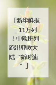 新华鲜报｜11万列！中欧班列跑出亚欧大陆“新时速”
