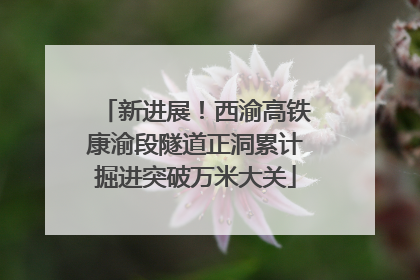 新进展！西渝高铁康渝段隧道正洞累计掘进突破万米大关