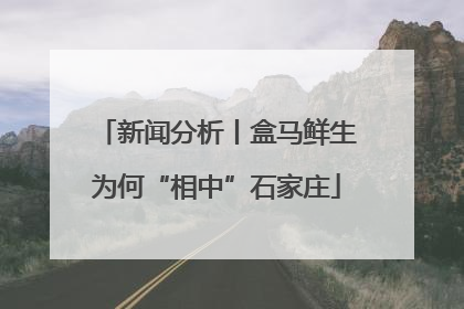 新闻分析丨盒马鲜生为何“相中”石家庄