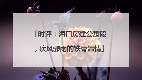 时评：海口房建公寓段，疾风骤雨的铁骨温情