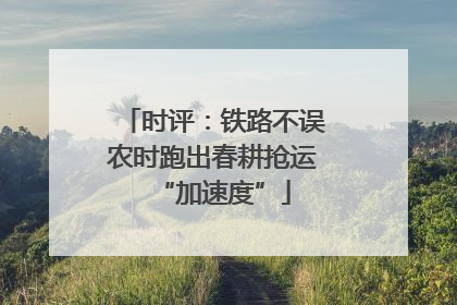 时评：铁路不误农时跑出春耕抢运“加速度”