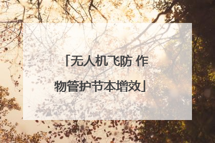 无人机飞防 作物管护节本增效