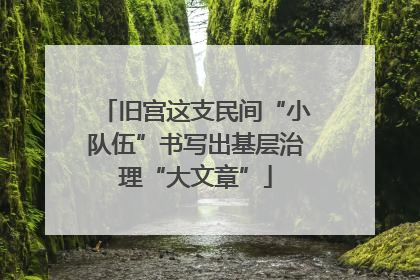 旧宫这支民间“小队伍”书写出基层治理“大文章”