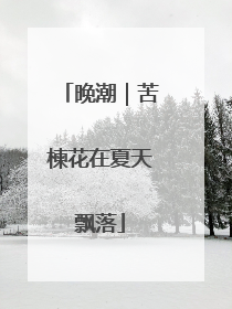 晚潮｜苦楝花在夏天飘落