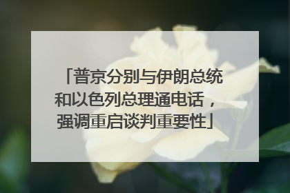 普京分别与伊朗总统和以色列总理通电话，强调重启谈判重要性