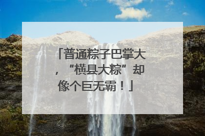 普通粽子巴掌大，“横县大粽”却像个巨无霸！