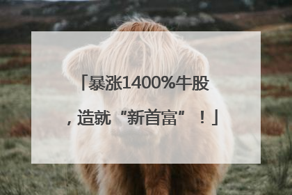 暴涨1400%牛股，造就“新首富”！