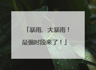 暴雨、大暴雨！最强时段来了！