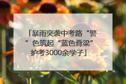 暴雨突袭中考路“警”色筑起“蓝色脊梁”护考3000余学子