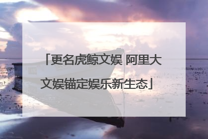更名虎鲸文娱 阿里大文娱锚定娱乐新生态