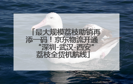 最大规模荔枝助销再添一码！京东物流开通“深圳-武汉-西安” 荔枝全货机航线