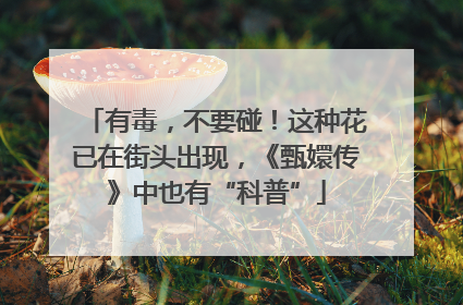 有毒，不要碰！这种花已在街头出现，《甄嬛传》中也有“科普”