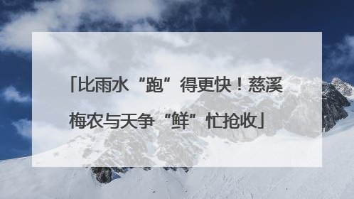 比雨水“跑”得更快！慈溪梅农与天争“鲜”忙抢收