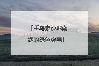 毛乌素沙地南缘的绿色突围