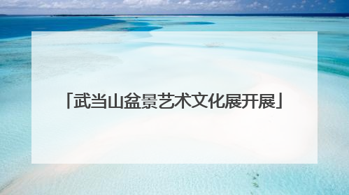 武当山盆景艺术文化展开展