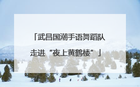 武昌国潮手语舞蹈队走进“夜上黄鹤楼”