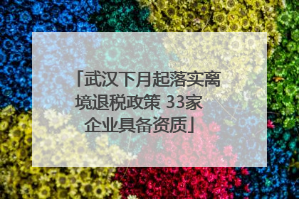 武汉下月起落实离境退税政策 33家企业具备资质