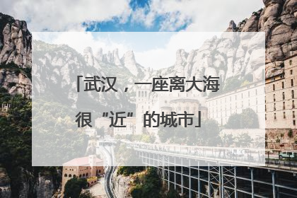 武汉，一座离大海很“近”的城市