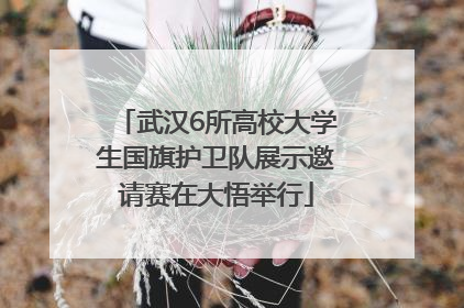 武汉6所高校大学生国旗护卫队展示邀请赛在大悟举行