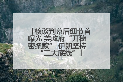 核谈判幕后细节首曝光 美政府“开秘密条款” 伊朗坚持“三大底线”