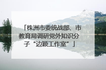 株洲市委统战部、市教育局调研党外知识分子“边颖工作室”