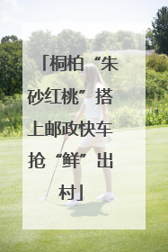 桐柏“朱砂红桃”搭上邮政快车抢“鲜”出村