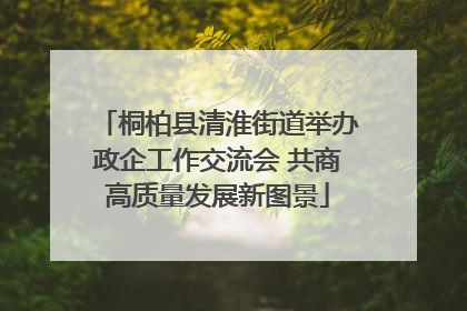 桐柏县清淮街道举办政企工作交流会 共商高质量发展新图景