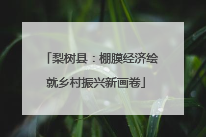 梨树县：棚膜经济绘就乡村振兴新画卷