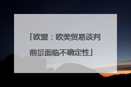 欧盟：欧美贸易谈判前景面临不确定性