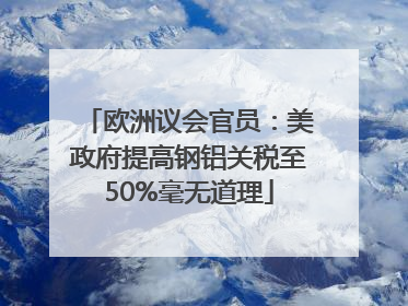 欧洲议会官员：美政府提高钢铝关税至50%毫无道理