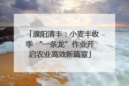 濮阳清丰：小麦丰收季 “一条龙”作业开启农业高效新篇章