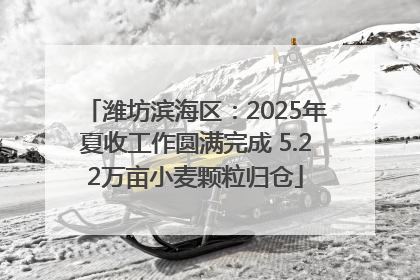 潍坊滨海区：2025年夏收工作圆满完成 5.22万亩小麦颗粒归仓
