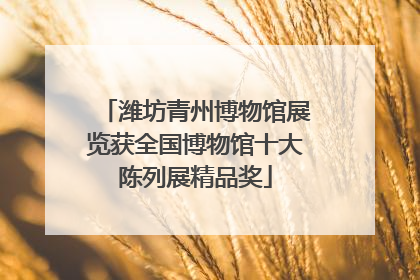潍坊青州博物馆展览获全国博物馆十大陈列展精品奖