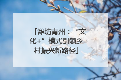 潍坊青州：“文化+”模式引领乡村振兴新路径